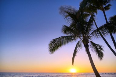 Hawaii, Kauai sahilinde gün batımı.