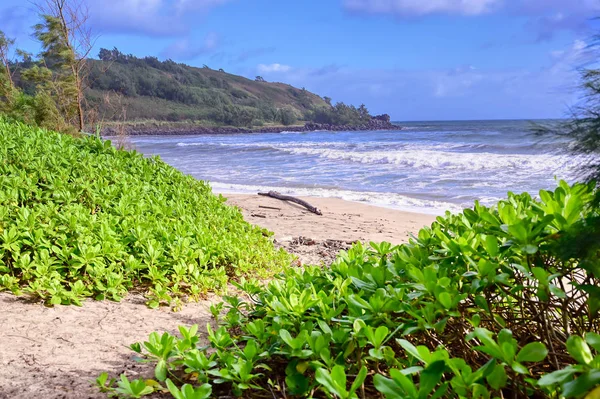Пляж Вдоль Побережья Кауаи Гавайи — стоковое фото
