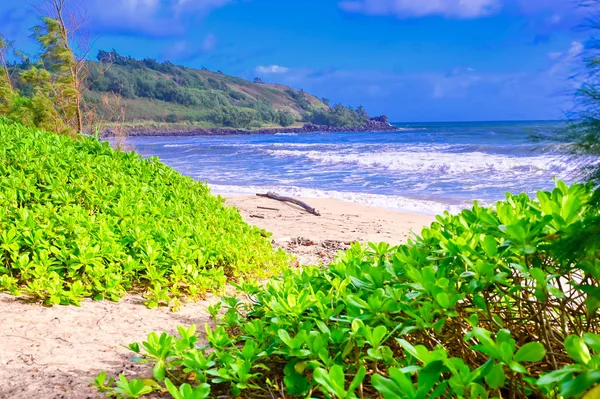 Пляж Вдоль Побережья Кауаи Гавайи — стоковое фото