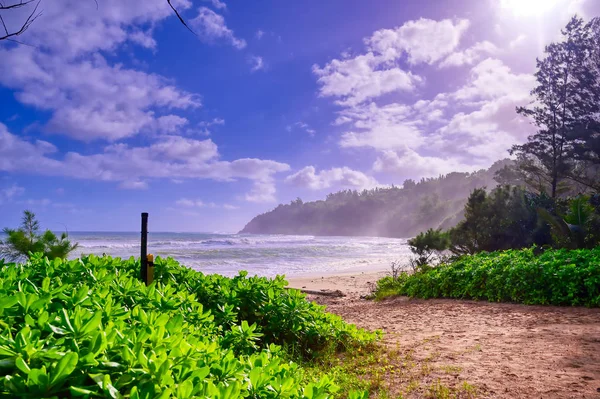 Playa Costa Kauai Hawai —  Fotos de Stock