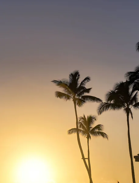 Puesta Sol Sobre Costa Kauai Hawai —  Fotos de Stock