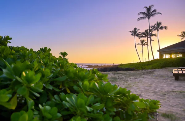 Pôr Sol Sobre Costa Kauai Havaí — Fotografia de Stock