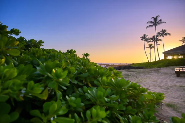 Puesta Sol Sobre Costa Kauai Hawai —  Fotos de Stock