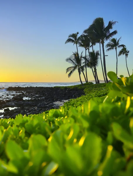 Pôr Sol Sobre Costa Kauai Havaí — Fotografia de Stock