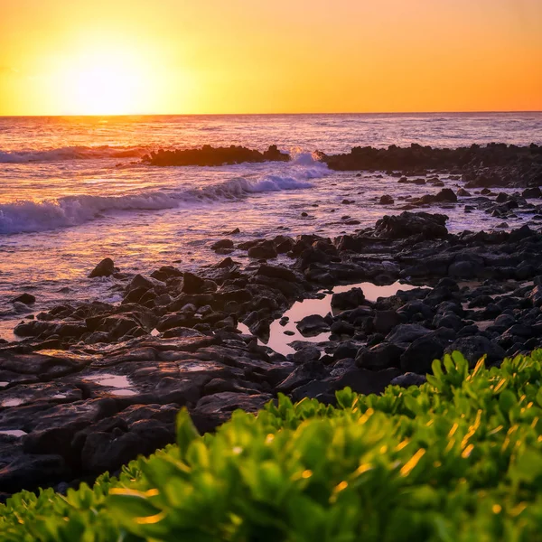 Puesta Sol Sobre Costa Kauai Hawai —  Fotos de Stock