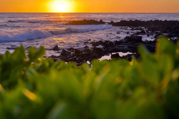 Sunset Coast Kauai Hawaii — Stock Photo, Image