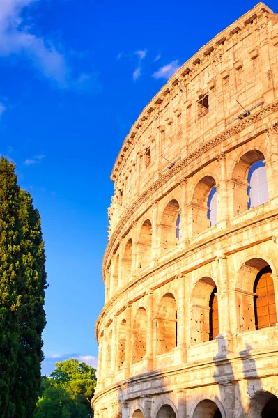 Het Colosseum Rome Italië — Stockfoto