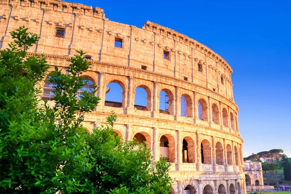 Coliseo Situado Roma Italia — Foto de Stock