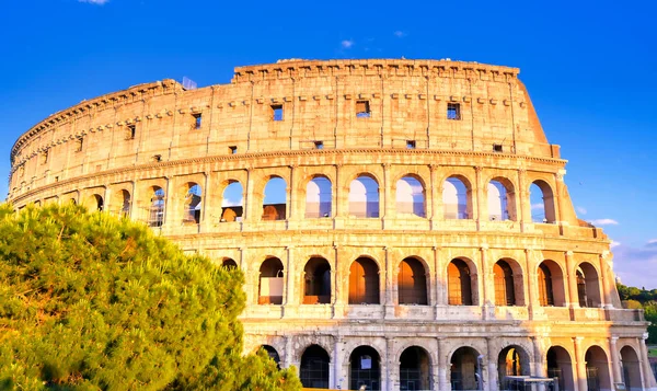 Colosseo Situato Roma Italia — Foto Stock