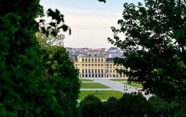 Bécs Ausztria 2019 Május Schonbrunn Palota Schloss Schonbrunn Bécsben Ausztriában — Stock Fotó