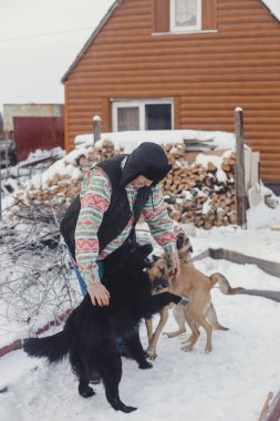 Yaşlı adam büyük köpeklerle oynuyor