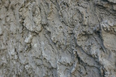 Dokulu arka plan beton duvar