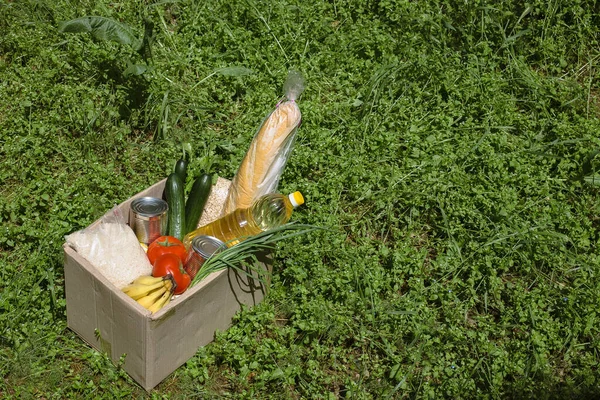 Spendenbox Mit Lebensmitteln Steht Auf Dem Rasen — Stockfoto