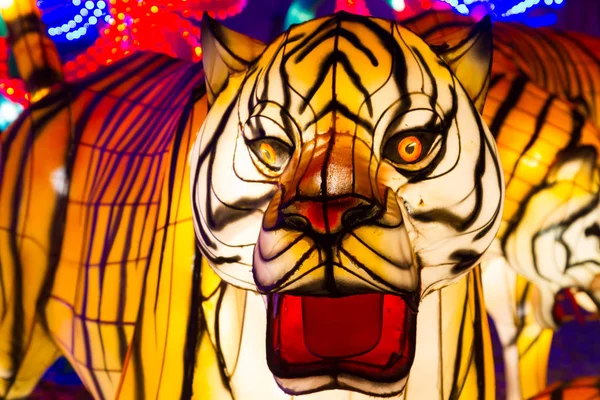 Lampion Festival čínský Nový rok Tiger Lucerna — Stock fotografie