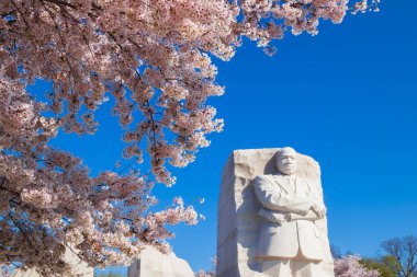 Washington DC 3 Nisan 2019 Martin Luther King Jr. Anıt West Potomac Park Washington DC 'de bulunmaktadır. Heykeltıraş Lei Yixin tarafından oyulmuş İnsan Hakları Hareketi lideri Martin Luther King 'in granit heykeli. Fotoğraf: Kiraz çiçeği festivali sırasında Nisan 'da