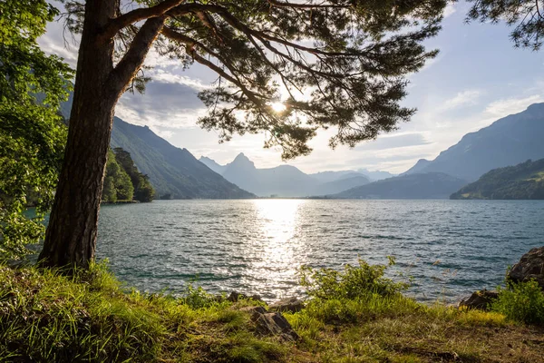 Sviçre Alpleri Nde Yakınındaki Dört Kanton Gölü — Stok fotoğraf