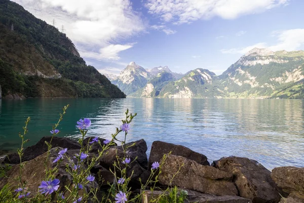 Urner Lake Part Lake Four Cantons Lucerne Switzerland Alps — Stock Photo, Image