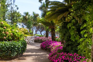 Amalfi Coast Campania İtalya Napoli yakınındaki Ravello
