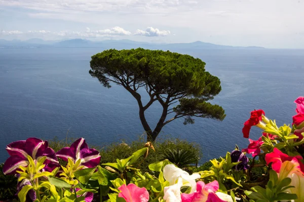 Равеллі Узбережжі Амальфи Неподалік Від Неаполя Провінції Кампанія Італії — стокове фото