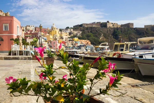Procida Island renkli evlerin Napoliten Bay İtalya üzerinde 