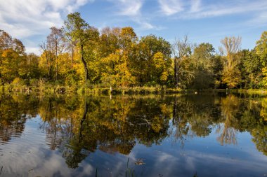 Parkta renkli sonbahar ağacı yaprakları