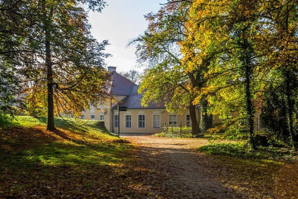 Kleurrijke Herfstbladeren Het Park — Stockfoto