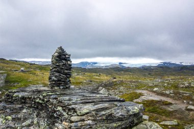 Norveç 'teki Sognefjellet dağ yolu