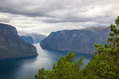 Norveç 'in dağlarındaki Stegastein bakış açısından Aurlandsfjord manzarası