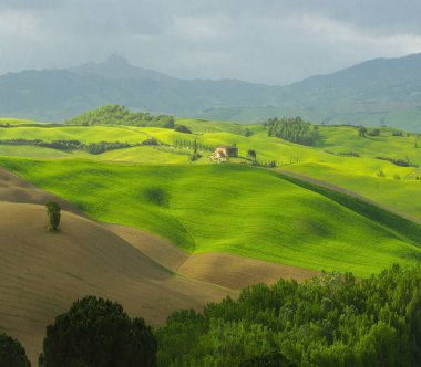 Tuscany 'de baharda yuvarlanan tepeler