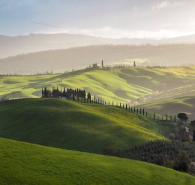 Tuscany 'de baharda yuvarlanan tepeler