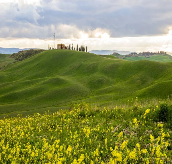 Colinas Ondulantes Primavera Toscana — Foto de Stock