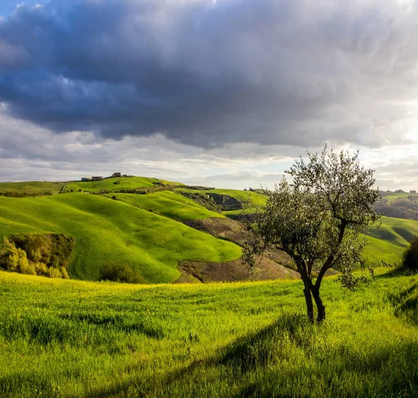 Холмы Весной Тоскане — стоковое фото