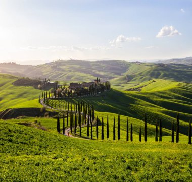 Girit Senesi, Toskana 'daki yeşil tepeler