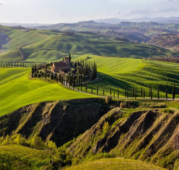 stock image green rolling hills in Crete Senesi in Tuscany