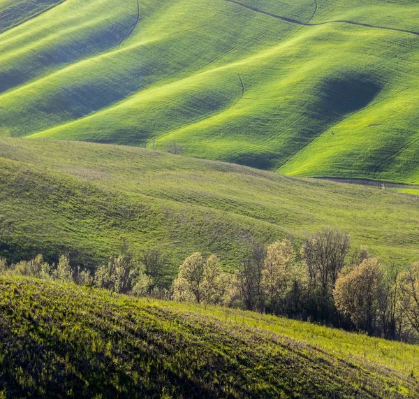 Green Rolling Hills Crete Senesi Tuscany — Stock Photo, Image