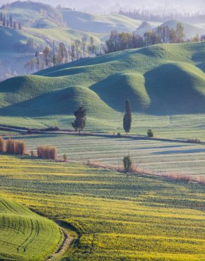 Tuscany 'deki Girit Senesi' nde gün doğumu