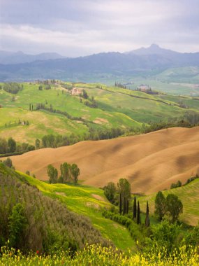 Tuscany 'deki Val d' Orcia 'daki yeşil tepeler