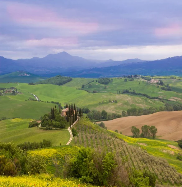 Collines Verdoyantes Val Orcia Toscane — Photo