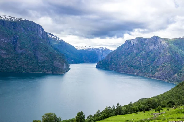 Панорама Aurlandsfjord Точки Зрения Stegastein Норвегии — стоковое фото