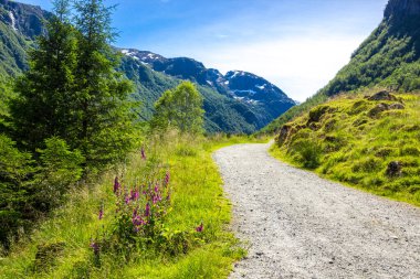 Norveç 'teki Folgefonna Ulusal Parkı' nda dağ yolu