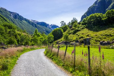Norveç 'teki Folgefonna Ulusal Parkı' nda dağ yolu