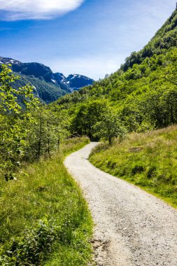 Norveç 'teki Folgefonna Ulusal Parkı' nda dağ yolu