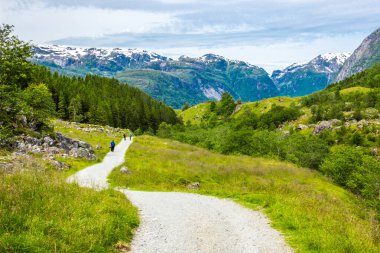 Norveç 'teki Folgefonna Ulusal Parkı' nda dağ yolu