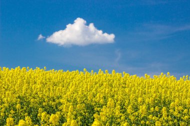 Tecavüz alanının üstündeki mavi gökyüzünde tek bulut