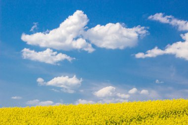 Tecavüz alanının üstündeki mavi gökyüzünde yalnız beyaz bulut