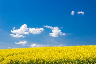 Tecavüz alanının üstündeki mavi gökyüzünde yalnız beyaz bulut