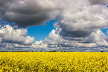 Tecavüz alanının üstündeki mavi gökyüzünde ağır bulutlar