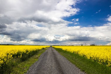 Toprak bir yolda fırtına bulutları bir tecavüz alanının içinden geçiyor.