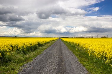 Toprak bir yolda fırtına bulutları bir tecavüz alanının içinden geçiyor.