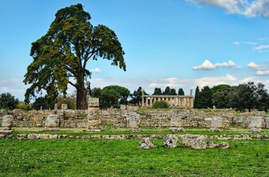 Ağaçların altında açık mavi gökyüzü bir antik kent kalıntıları